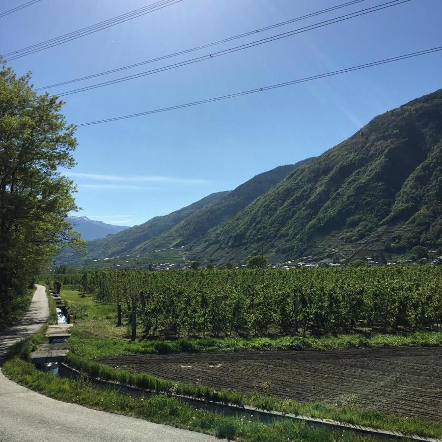 Casa Vacanze - Residenza Elvezia Tirano Eksteriør bilde